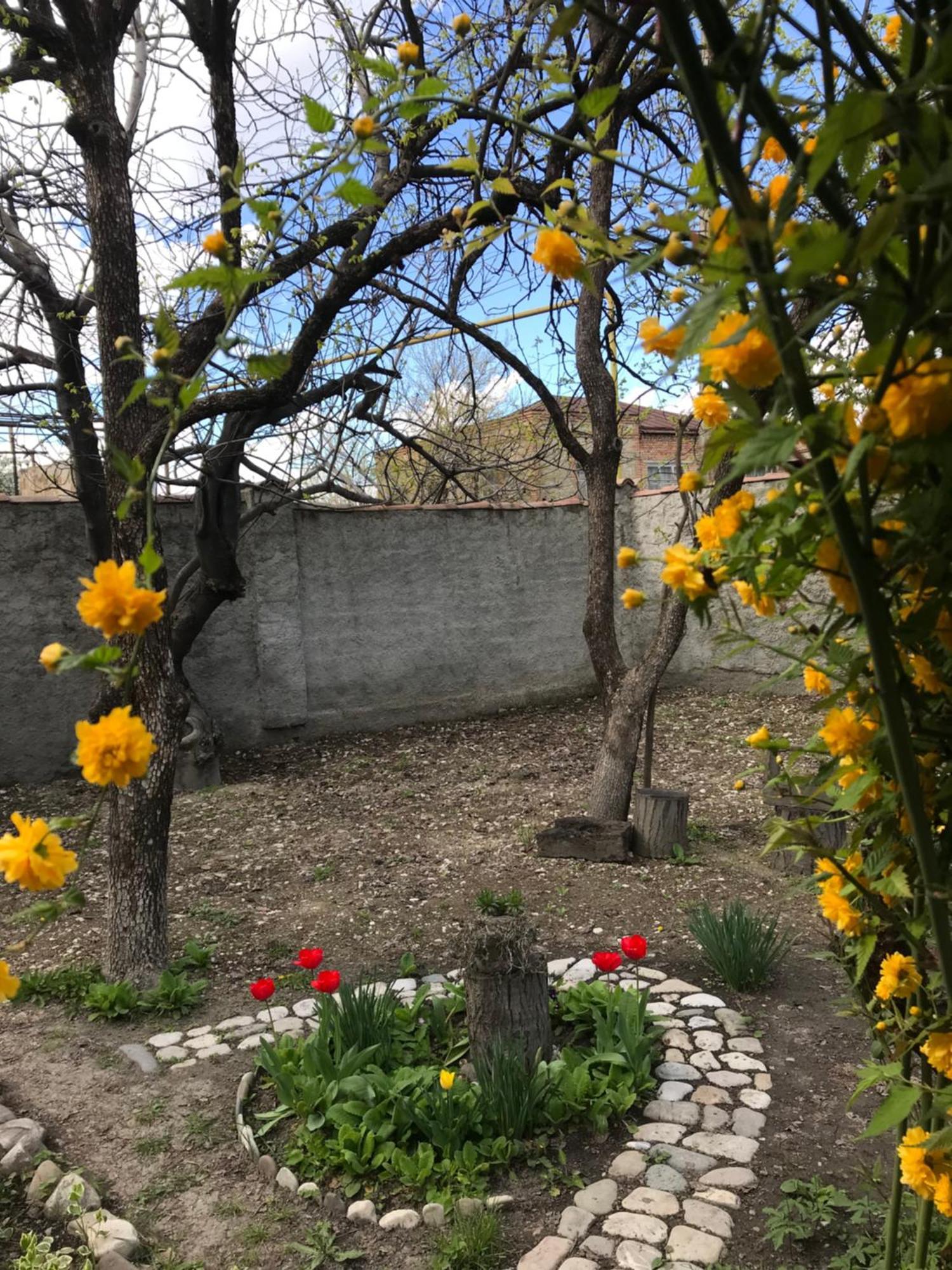 Appartement Kistauri Telavi